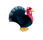 thanksgiving turkeys android application logo